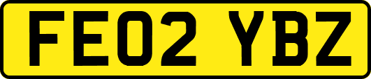 FE02YBZ