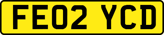 FE02YCD