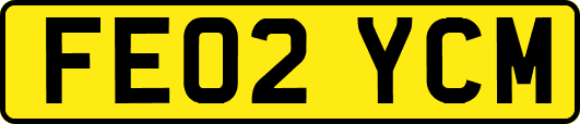 FE02YCM