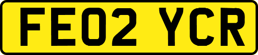 FE02YCR