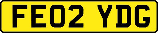 FE02YDG