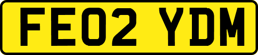 FE02YDM