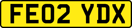 FE02YDX
