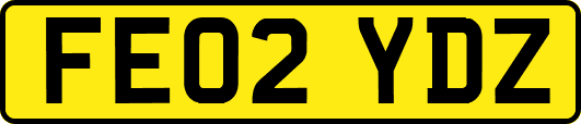 FE02YDZ