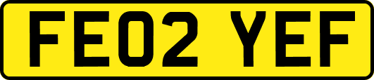 FE02YEF