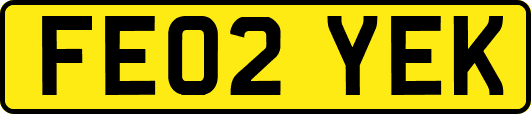 FE02YEK