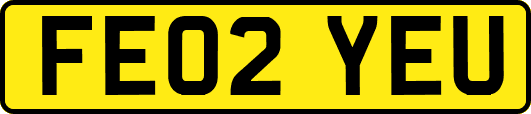 FE02YEU