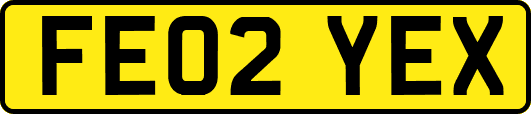 FE02YEX