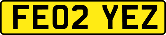 FE02YEZ