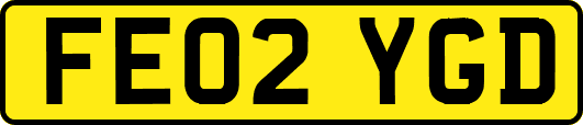 FE02YGD