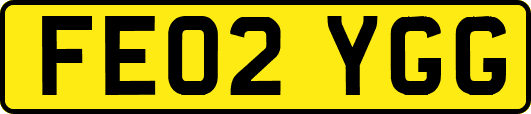 FE02YGG