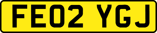 FE02YGJ