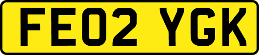 FE02YGK