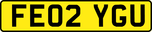 FE02YGU