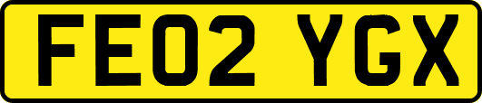 FE02YGX