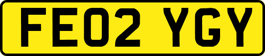 FE02YGY