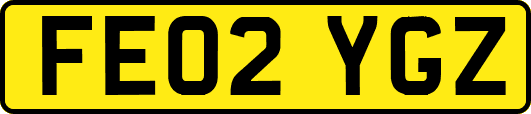 FE02YGZ