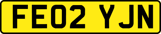 FE02YJN