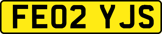 FE02YJS