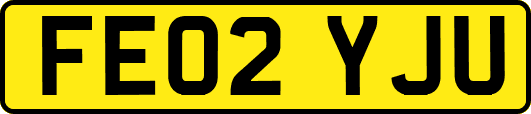 FE02YJU