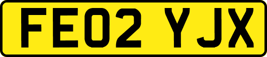 FE02YJX
