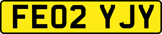 FE02YJY