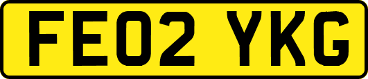 FE02YKG