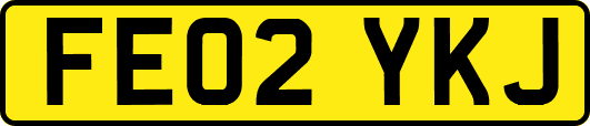 FE02YKJ