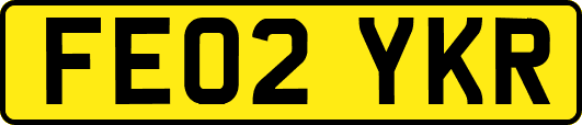 FE02YKR