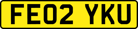FE02YKU