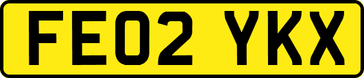 FE02YKX