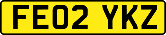 FE02YKZ