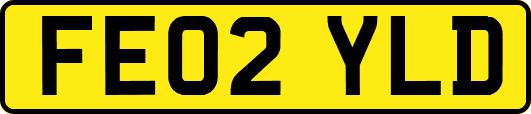 FE02YLD