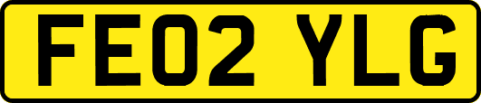 FE02YLG