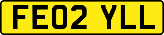FE02YLL