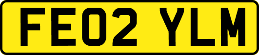 FE02YLM