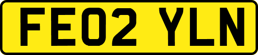 FE02YLN