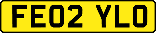 FE02YLO