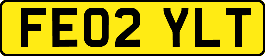FE02YLT