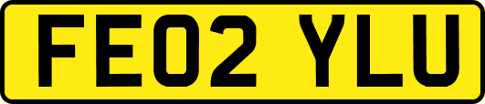 FE02YLU