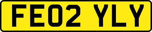 FE02YLY