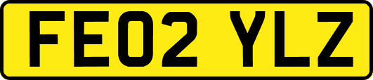 FE02YLZ