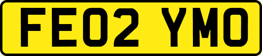 FE02YMO