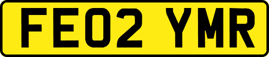 FE02YMR