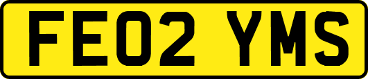 FE02YMS