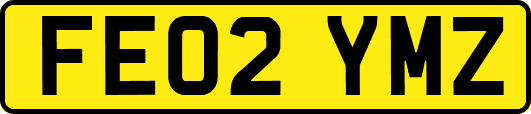 FE02YMZ
