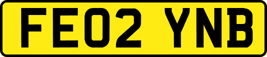 FE02YNB