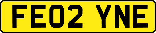 FE02YNE