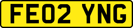 FE02YNG