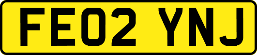 FE02YNJ